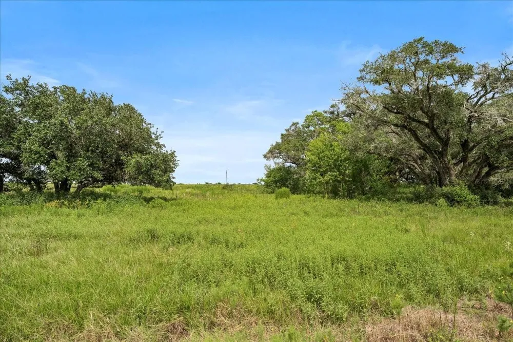 Pintail Lane Columbus, TX 78934