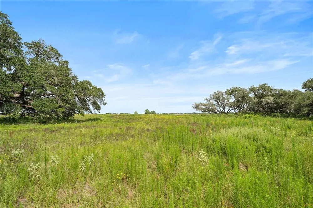 Pintail Lane Columbus, TX 78934