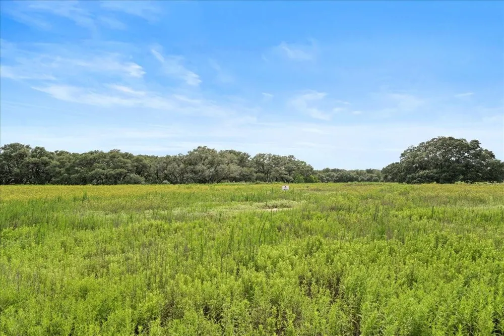 Pintail Lane Columbus, TX 78934
