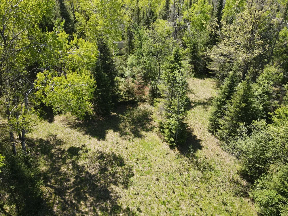 1710 Miller Road Hawes Township, MI 48742