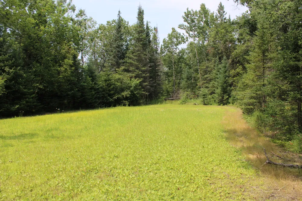 1710 Miller Road Hawes Township, MI 48742