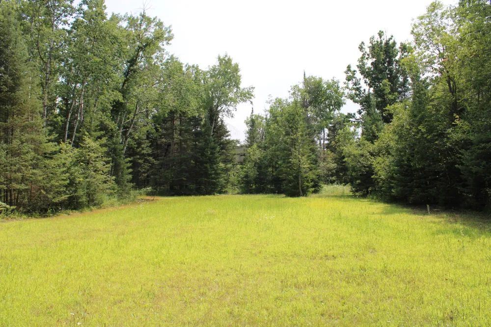 1710 Miller Road Hawes Township, MI 48742