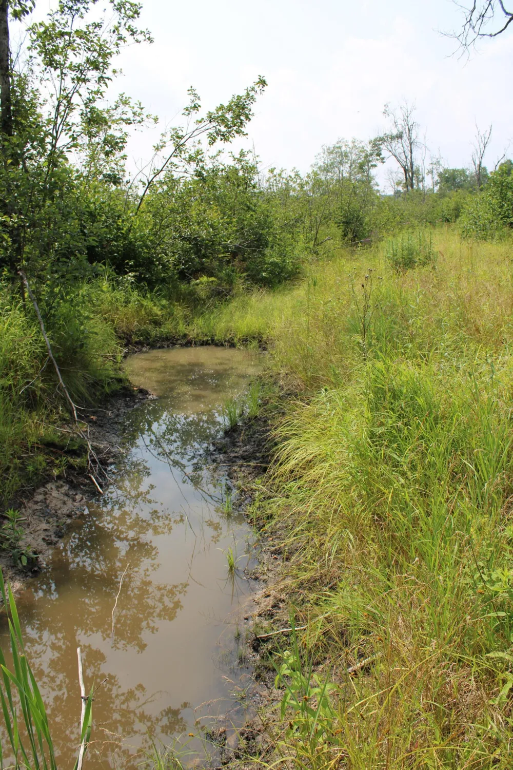 1710 Miller Road Hawes Township, MI 48742