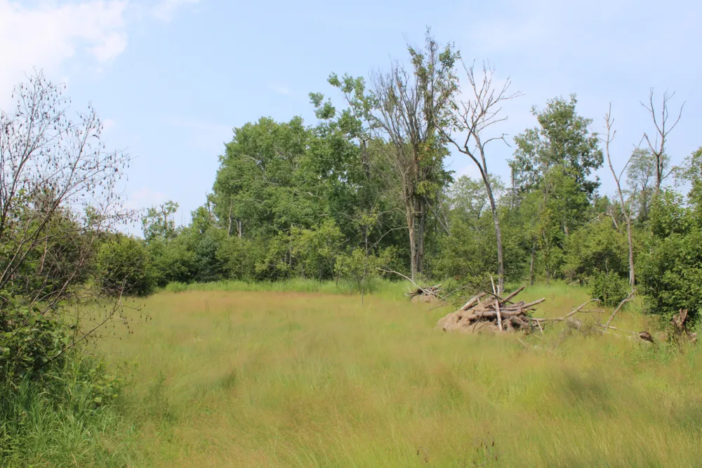 1710 Miller Road Hawes Township, MI 48742