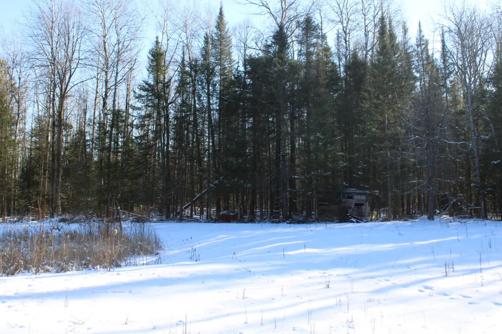 1710 Miller Road Hawes Township, MI 48742