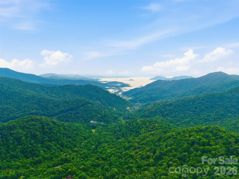 Lot 50 Running Cedar Drive Mars Hill, NC 28754