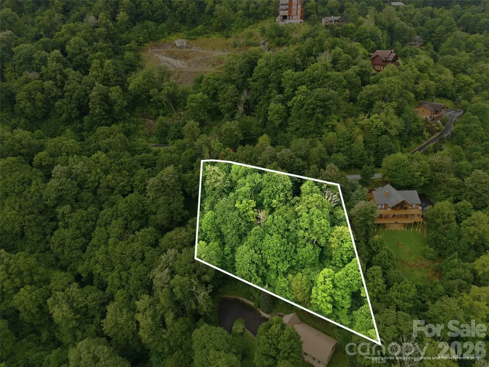 Lot 50 Running Cedar Drive Mars Hill, NC 28754