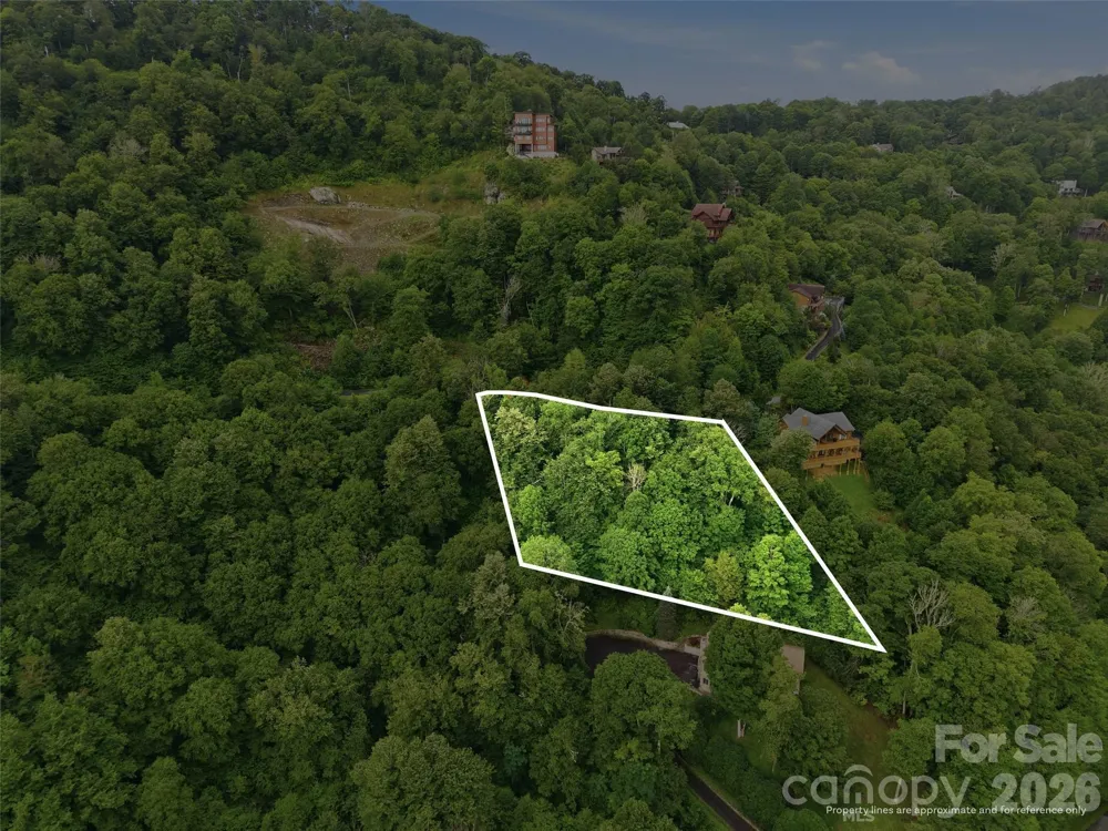 Lot 50 Running Cedar Drive Mars Hill, NC 28754