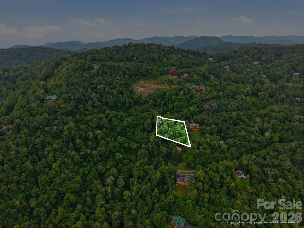 Lot 50 Running Cedar Drive Mars Hill, NC 28754
