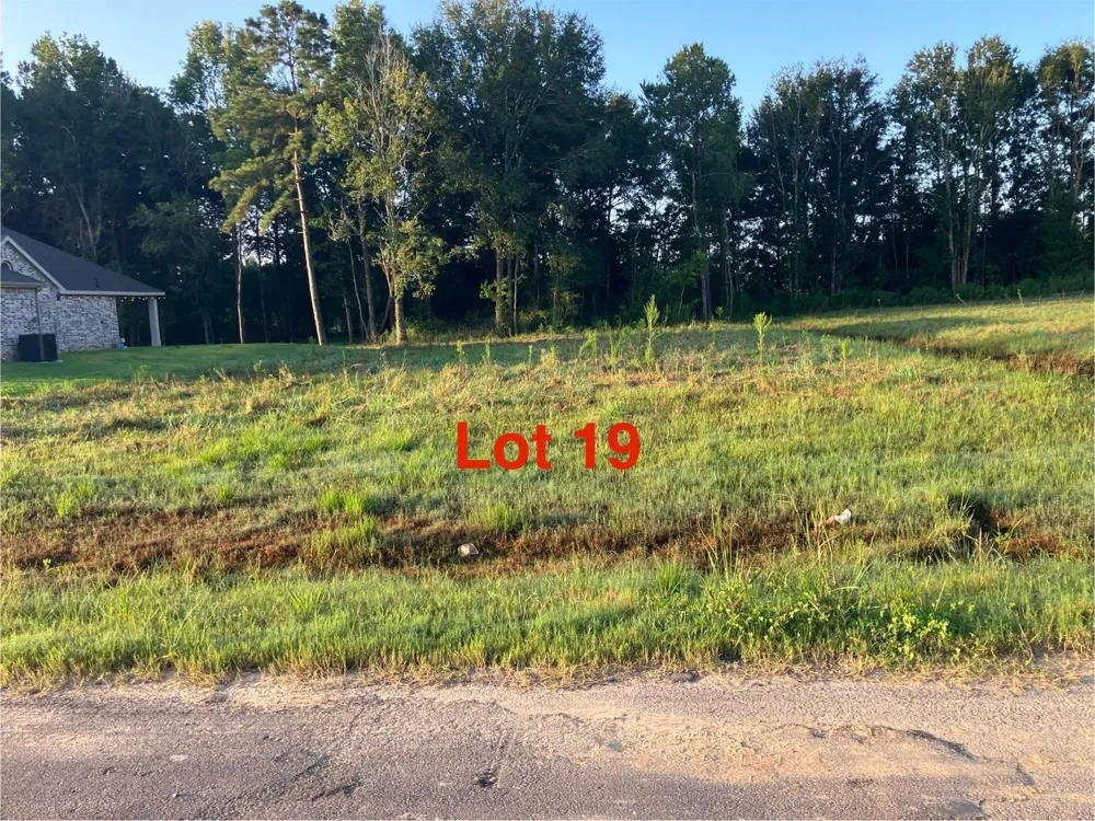 1081 Tarkington Timbers Drive Cleveland, TX 77327