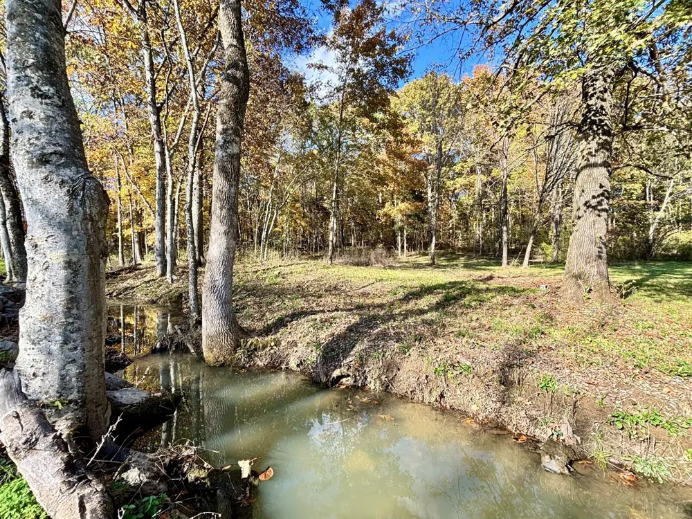 4740 Ash Hill Rd Spring Hill, TN 37174