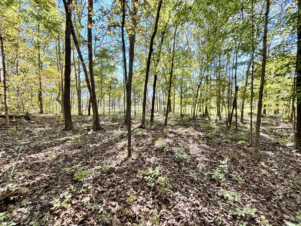 4740 Ash Hill Rd Spring Hill, TN 37174