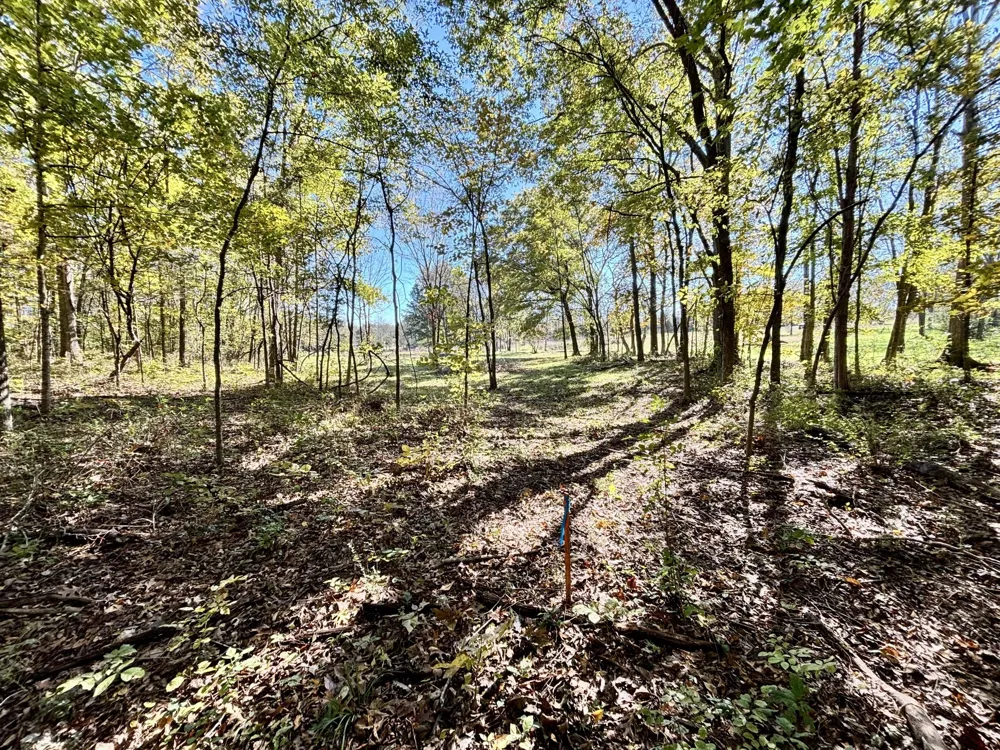 4740 Ash Hill Rd Spring Hill, TN 37174