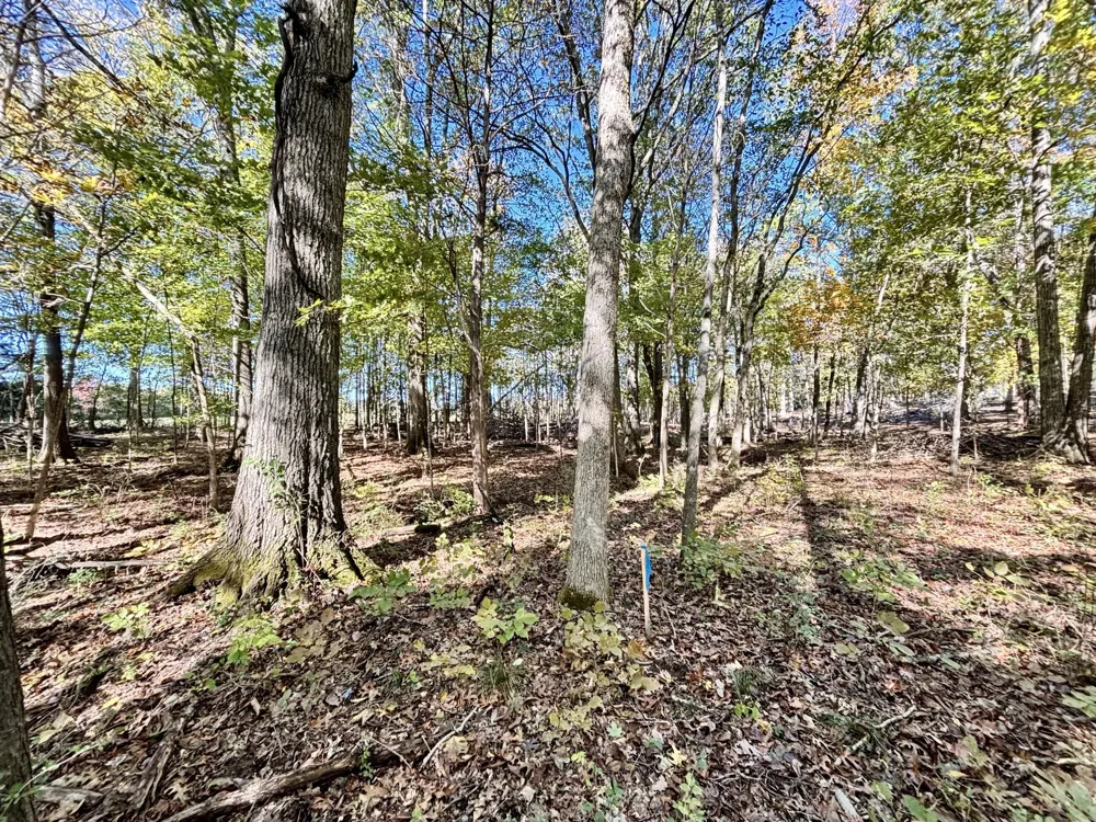 4740 Ash Hill Rd Spring Hill, TN 37174
