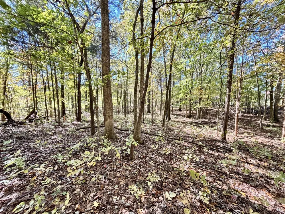 4740 Ash Hill Rd Spring Hill, TN 37174