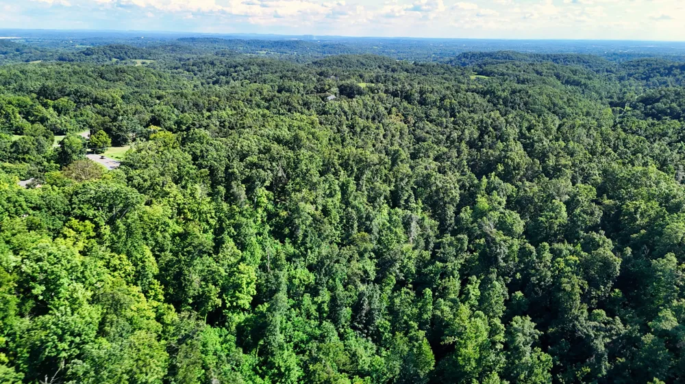 1 Lindsey Hollow Rd Gallatin, TN 37066