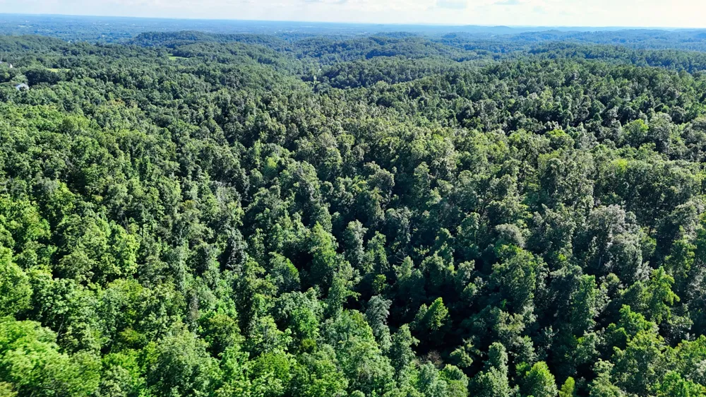 1 Lindsey Hollow Rd Gallatin, TN 37066