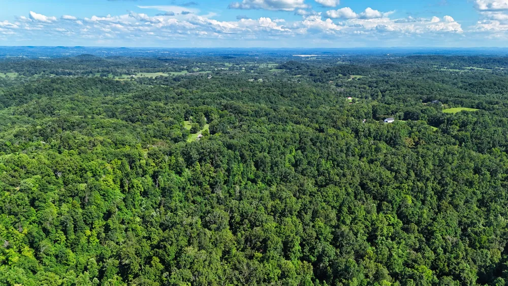 1 Lindsey Hollow Rd Gallatin, TN 37066