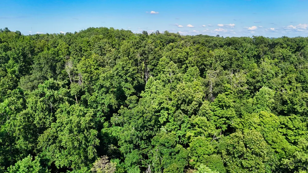 1 Lindsey Hollow Rd Gallatin, TN 37066