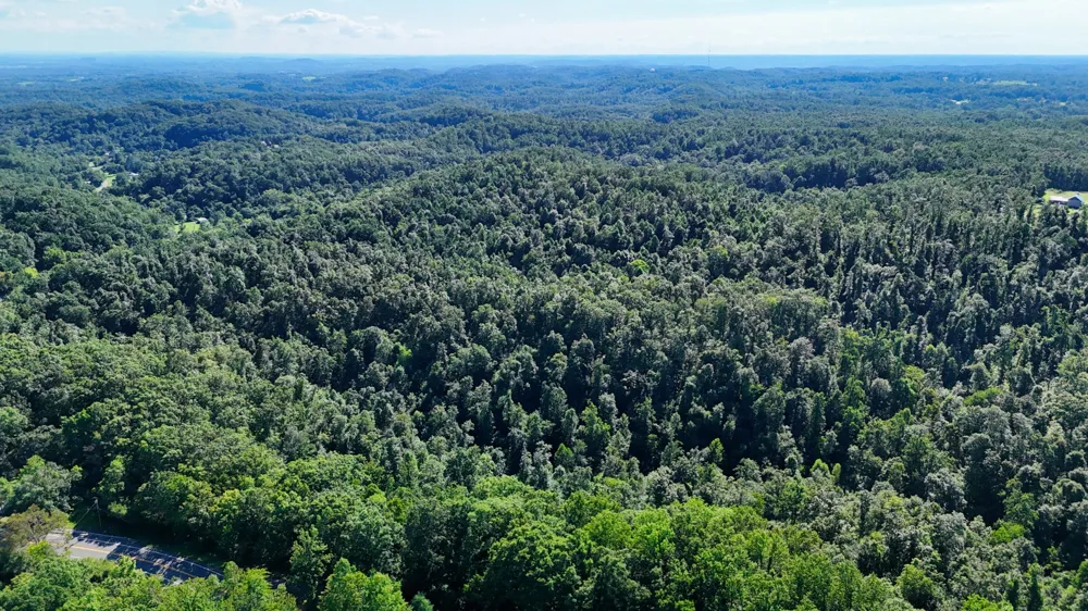 1 Lindsey Hollow Rd Gallatin, TN 37066