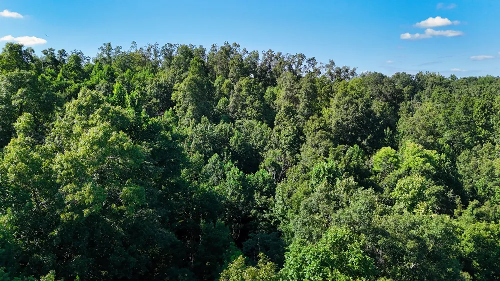 1 Lindsey Hollow Rd Gallatin, TN 37066