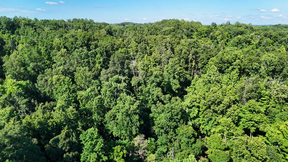 1 Lindsey Hollow Rd Gallatin, TN 37066