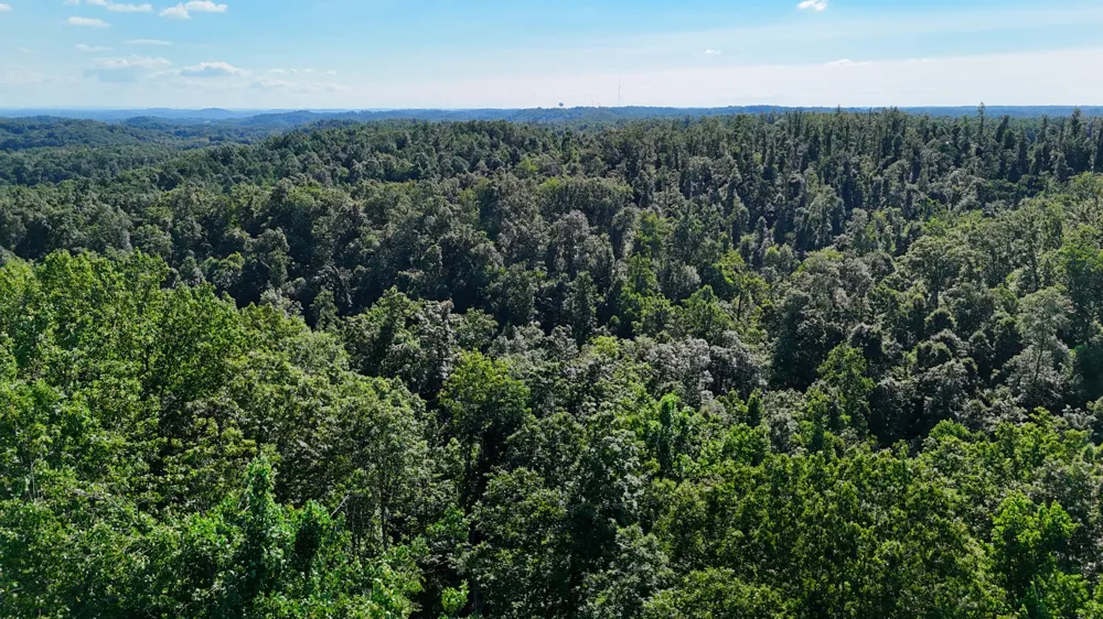 1 Lindsey Hollow Rd Gallatin, TN 37066