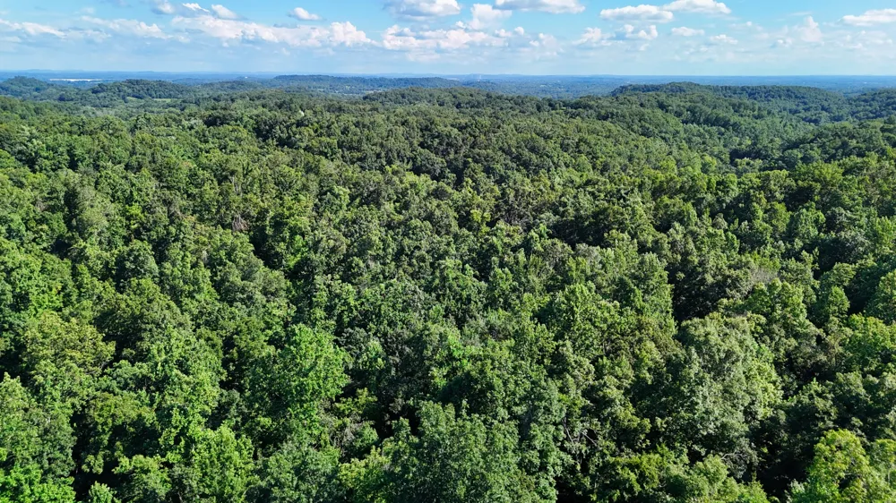 1 Lindsey Hollow Rd Gallatin, TN 37066