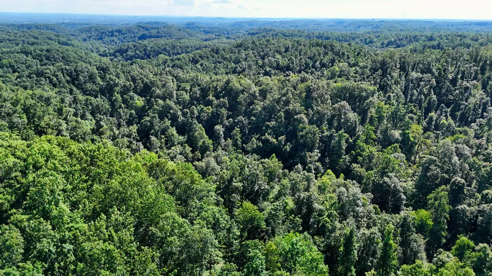 1 Lindsey Hollow Rd Gallatin, TN 37066