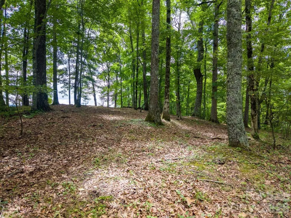 752 Shepherds Gap Road #28 Cullowhee, NC 28723