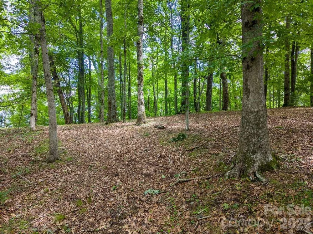 752 Shepherds Gap Road #28 Cullowhee, NC 28723