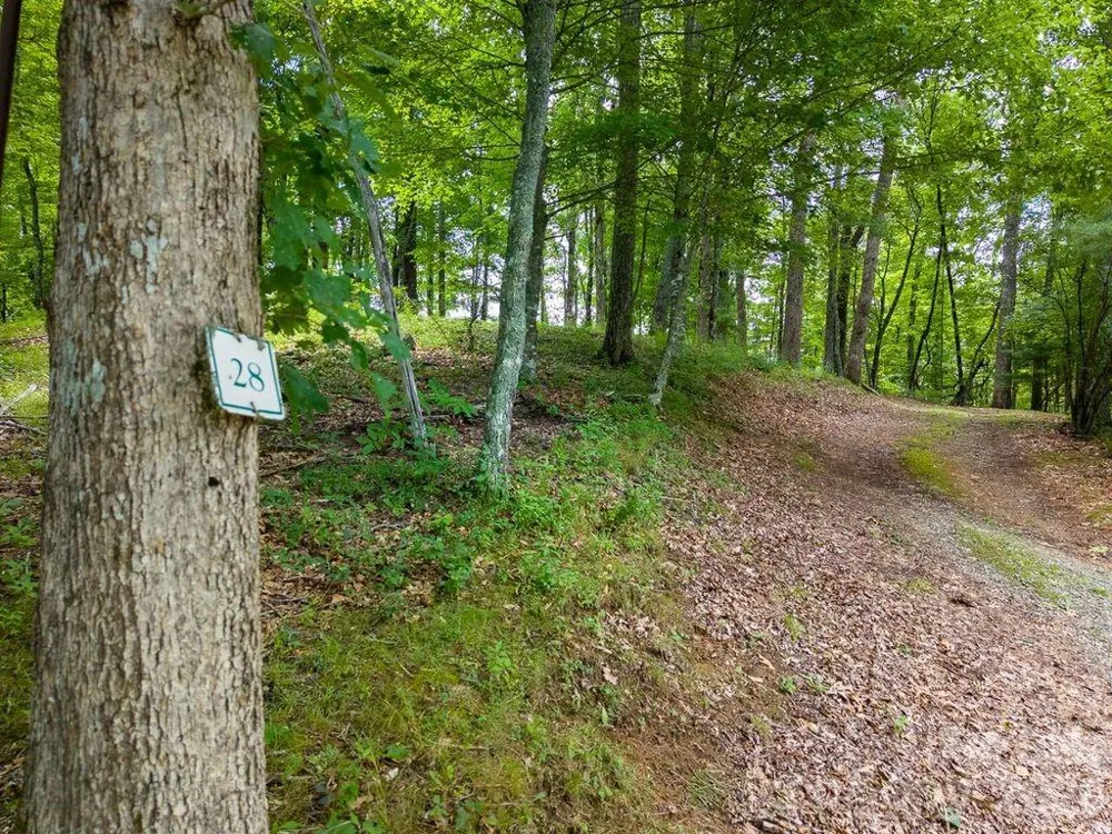 752 Shepherds Gap Road #28 Cullowhee, NC 28723