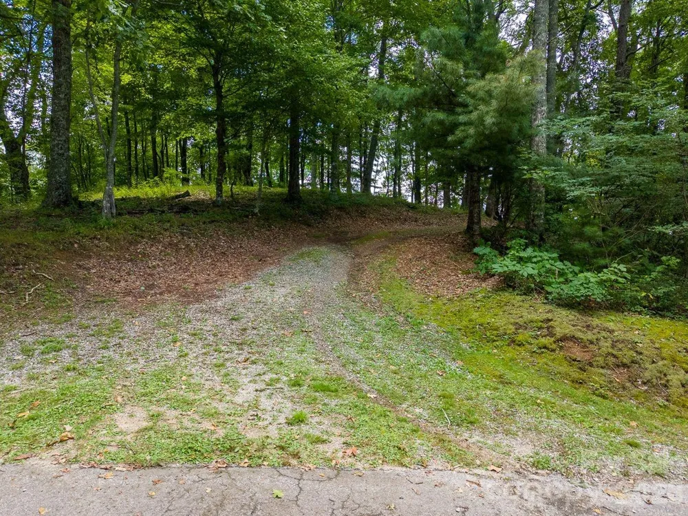 752 Shepherds Gap Road #28 Cullowhee, NC 28723