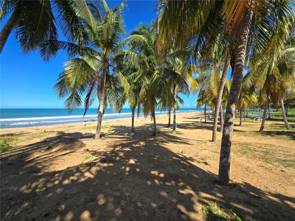351 LAS PICAUS, PLAYAS DEL YUNQUE #19 Rio Grande, PR 00745