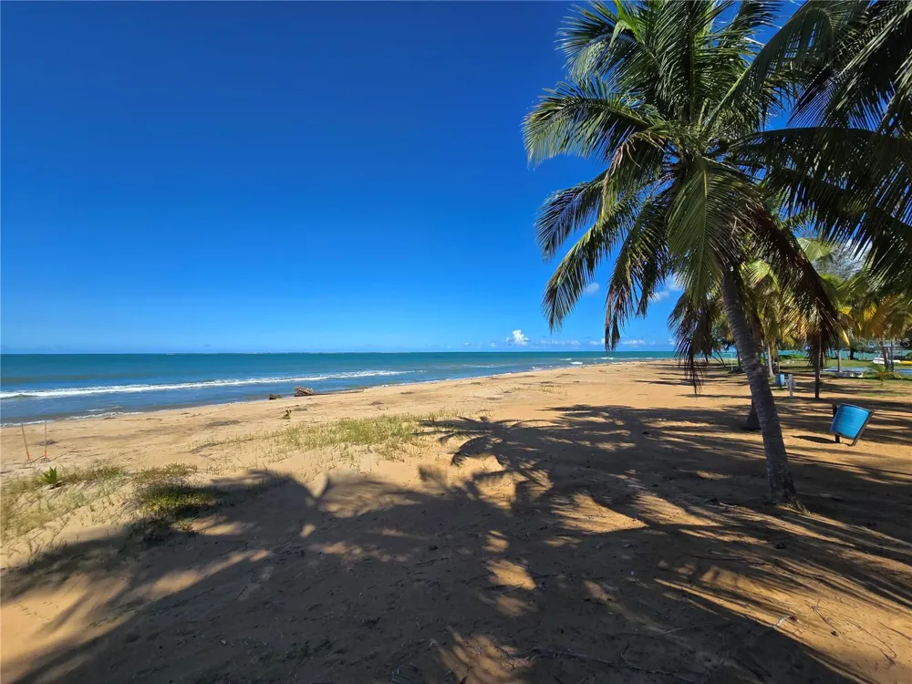 351 LAS PICAUS, PLAYAS DEL YUNQUE #19 Rio Grande, PR 00745