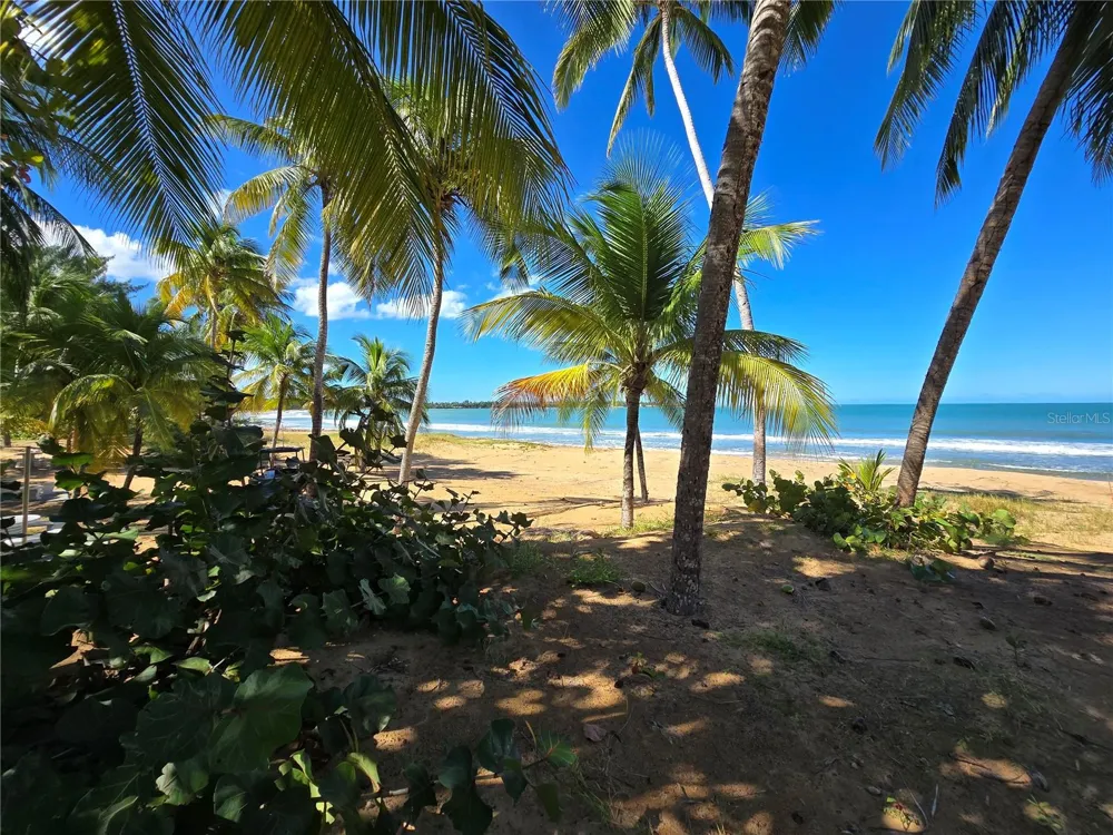 351 LAS PICAUS, PLAYAS DEL YUNQUE #19 Rio Grande, PR 00745