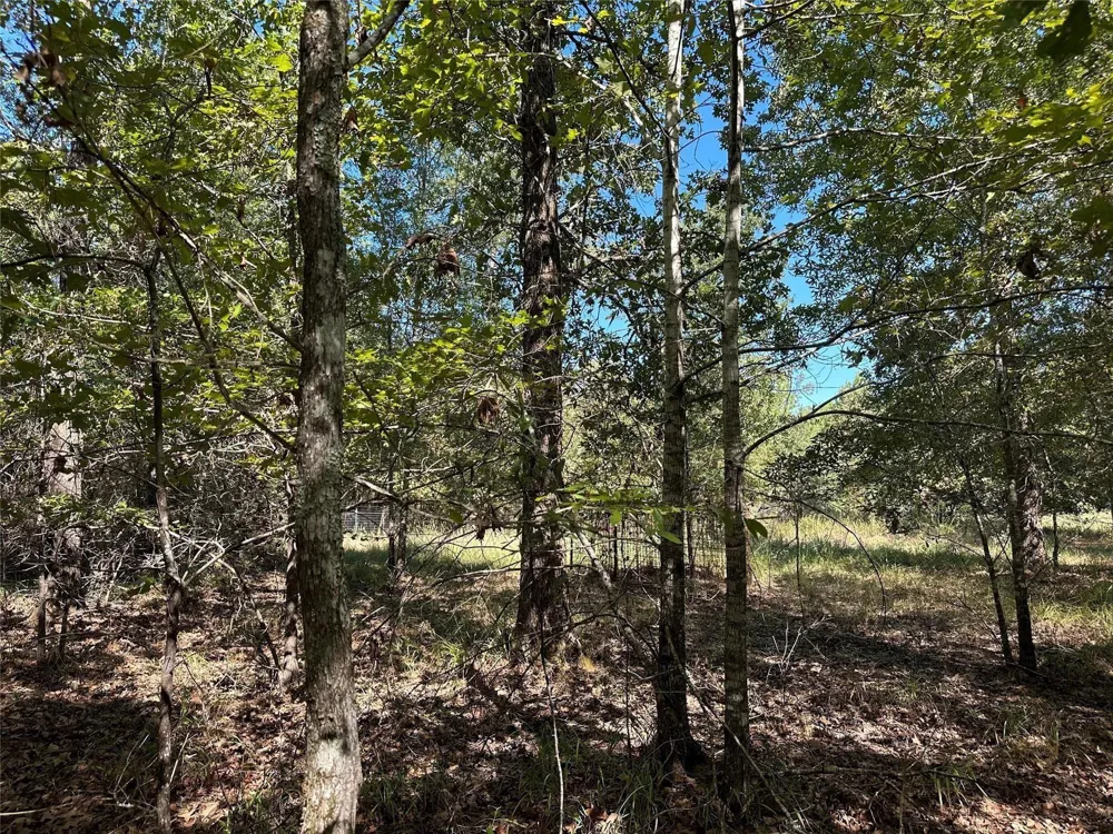 Somerset Trail Road Point Blank, TX 77364