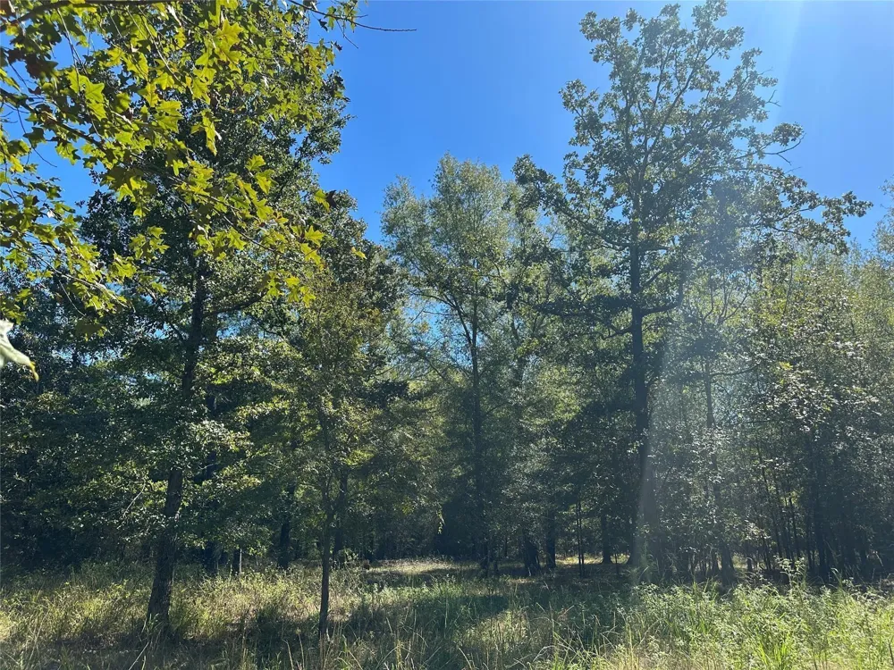 Somerset Trail Road Point Blank, TX 77364