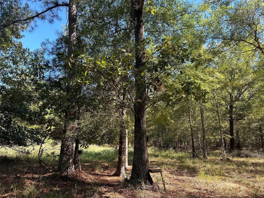 Somerset Trail Road Point Blank, TX 77364