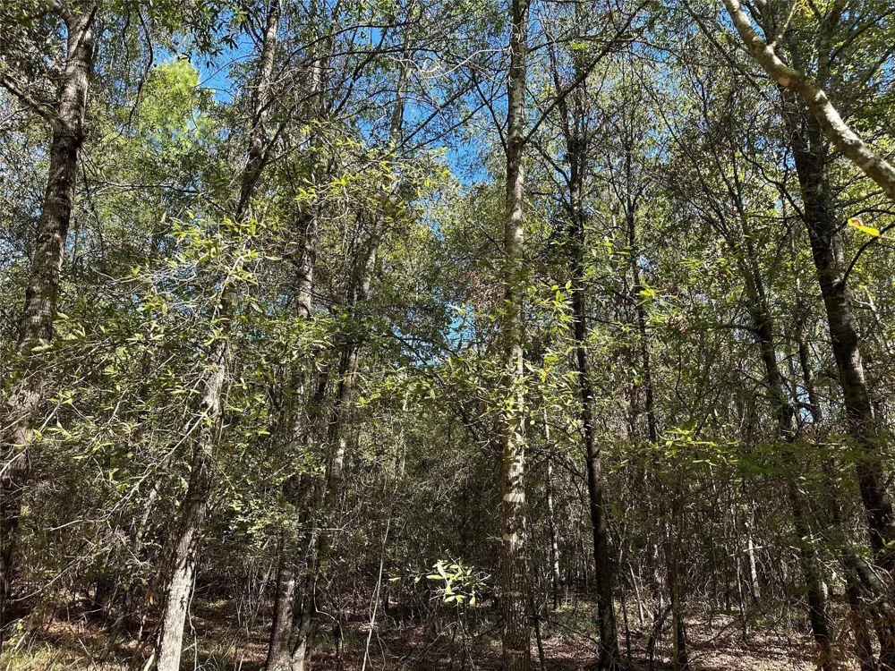 Somerset Trail Road Point Blank, TX 77364