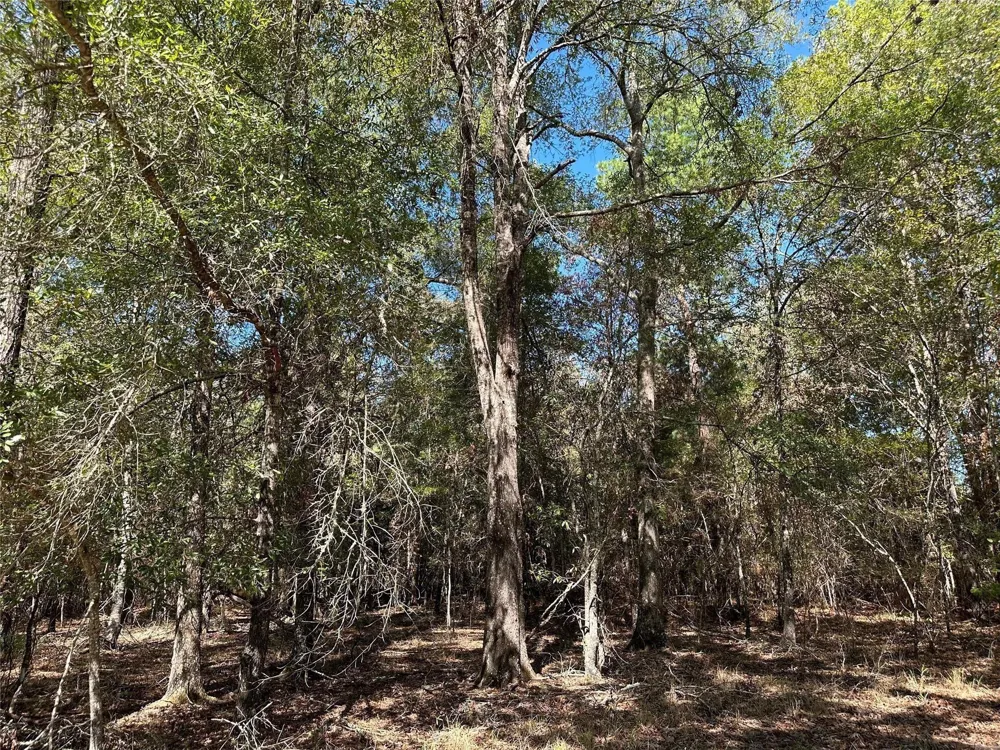 Somerset Trail Road Point Blank, TX 77364
