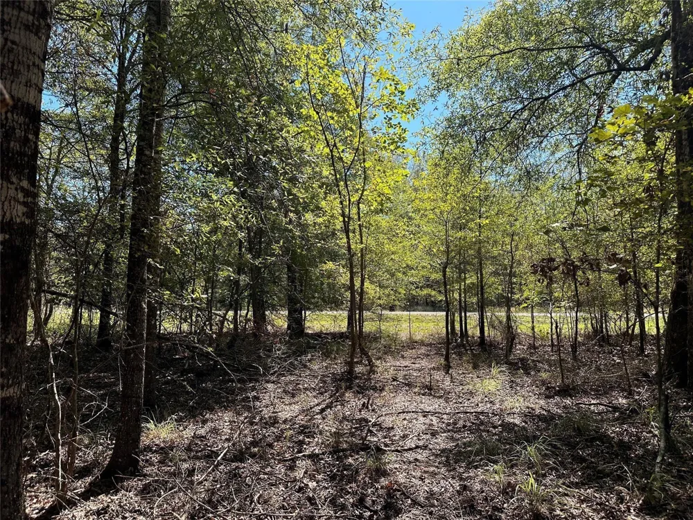Somerset Trail Road Point Blank, TX 77364