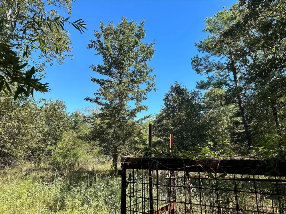 Somerset Trail Road Point Blank, TX 77364
