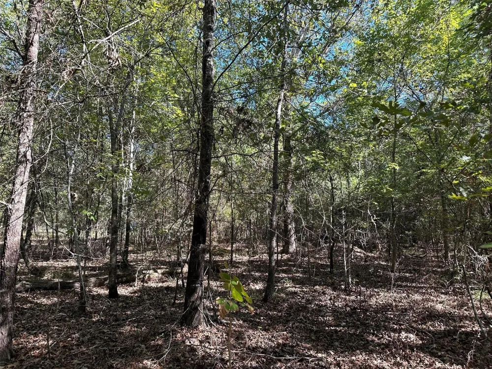 Somerset Trail Road Point Blank, TX 77364