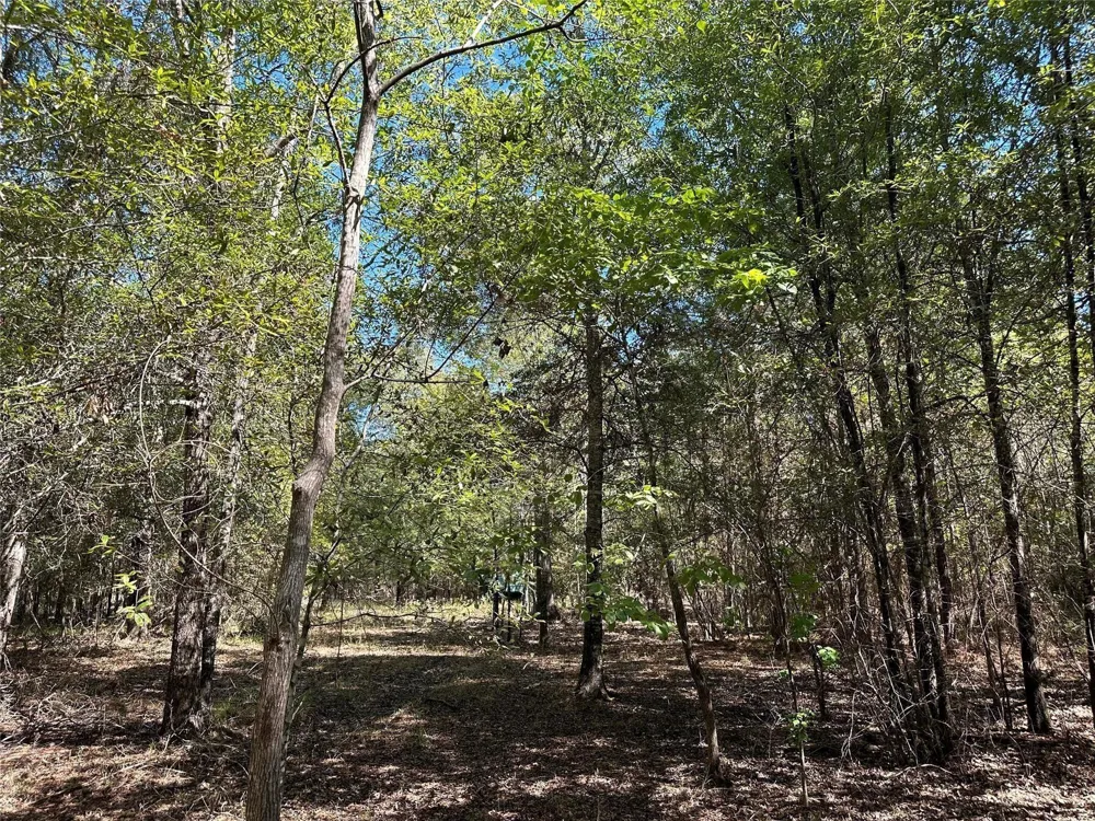 Somerset Trail Road Point Blank, TX 77364