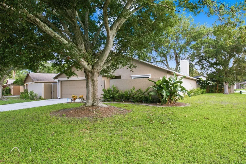 2767 VANESSA LANE Palm Harbor, FL 34684