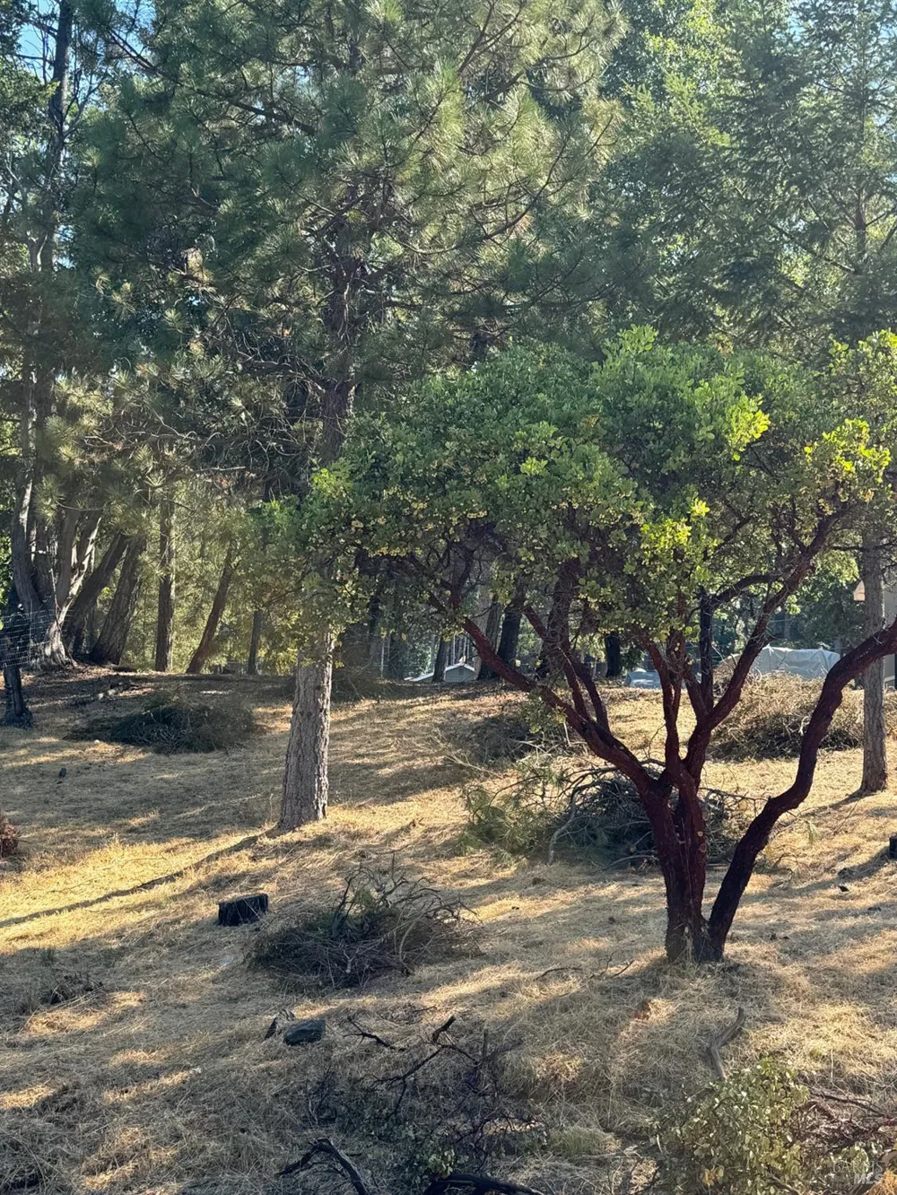 1596 Daphne Drive Willits, CA 95490