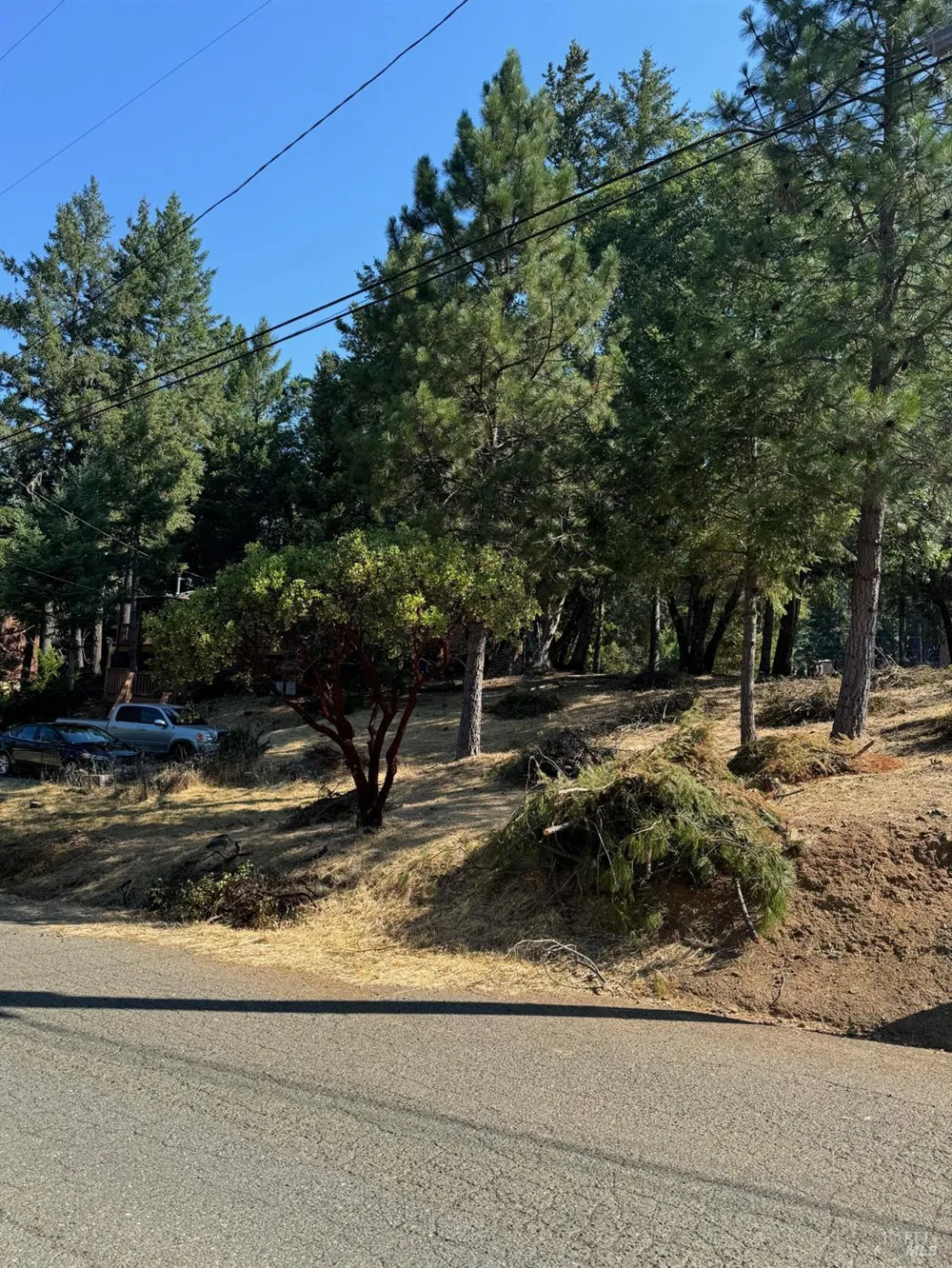 1596 Daphne Drive Willits, CA 95490