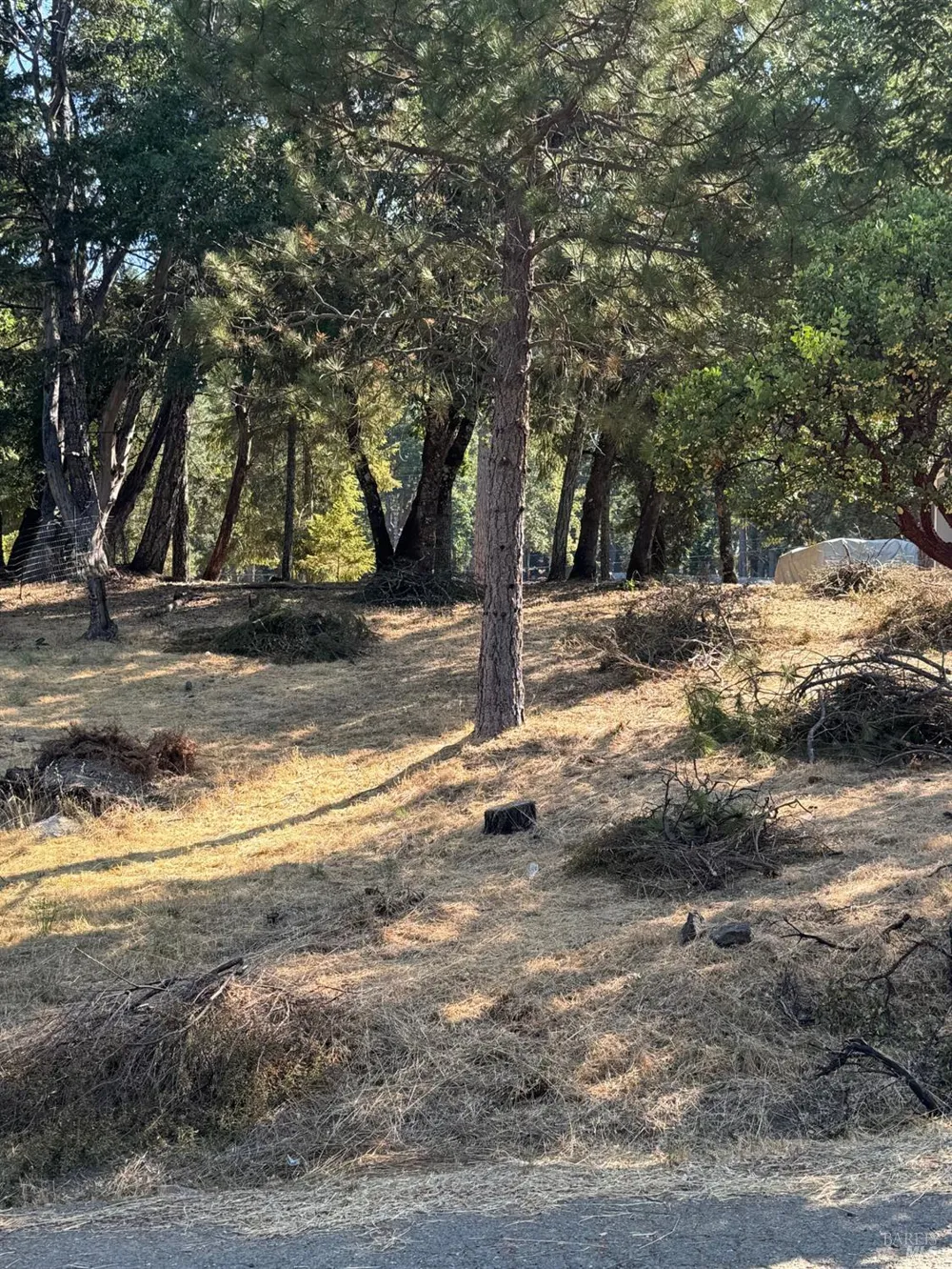 1596 Daphne Drive Willits, CA 95490