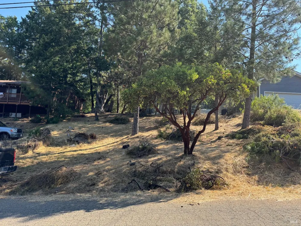 1596 Daphne Drive Willits, CA 95490
